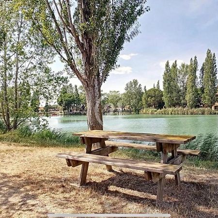Appart Dans Residence Avec Piscine A Arles Dış mekan fotoğraf